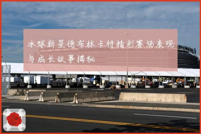 冰球新星德布林卡特精彩赛场表现与成长故事揭秘