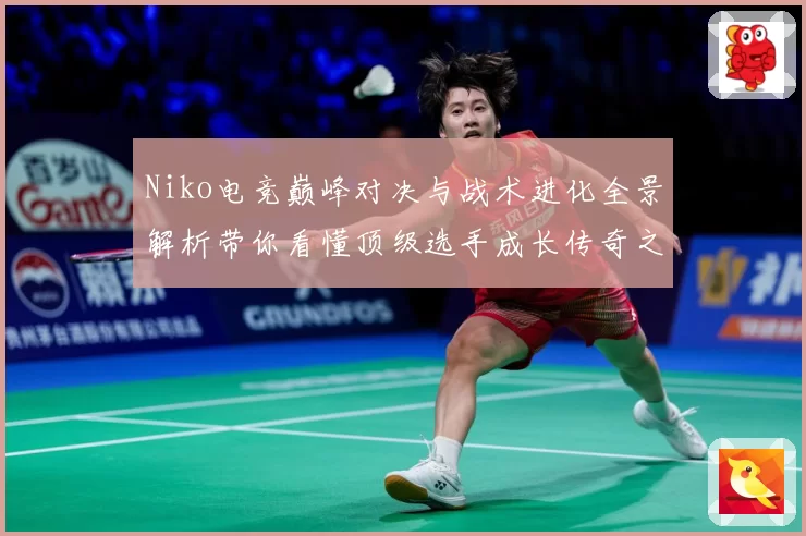 Niko电竞巅峰对决与战术进化全景解析带你看懂顶级选手成长传奇之路